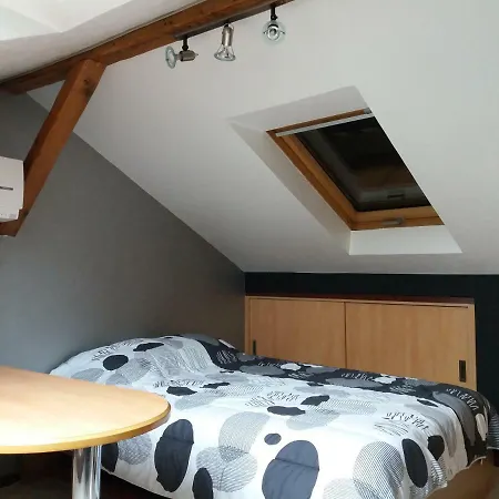 Logis 18 Rose Appartement Strasbourg